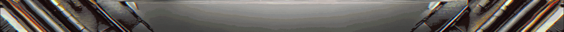 Bullets