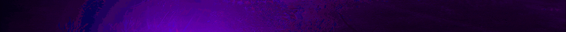 Purpura